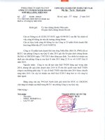 Báo cáo tài chính công ty mẹ quý 2 năm 2015 - Công ty Cổ phần Kinh doanh Khí hóa lỏng Miền Bắc