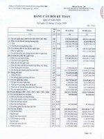 Báo cáo tài chính quý 4 năm 2009 - Công ty Cổ phần Kinh doanh Khí hóa lỏng Miền Nam