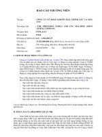 Báo cáo thường niên năm 2008 - Công ty cổ phần Sản xuất, Thương mại và Dịch vụ ôtô PTM