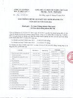 Báo cáo tài chính năm 2015 (đã kiểm toán) - CTCP Đầu tư Điện lực 3