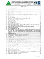 Bản cáo bạch - Công ty cổ phần Xây dựng Phục Hưng Holdings