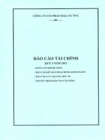 Báo cáo tài chính quý 3 năm 2011 - Công ty cổ phần Đầu tư PV2