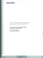 Báo cáo tài chính hợp nhất năm 2015 (đã kiểm toán) - Công ty Cổ phần Xuất nhập khẩu Petrolimex