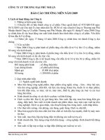 Báo cáo thường niên năm 2009 - CTCP Thương mại Phú Nhuận