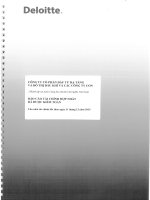 Báo cáo tài chính hợp nhất năm 2015 (đã kiểm toán) - Công ty Cổ phần Đầu tư Hạ tầng và Đô thị Dầu khí PVC