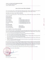 Báo cáo tài chính quý 1 năm 2010 - Công ty cổ phần Chứng khoán Dầu khí