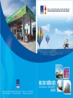 Báo cáo thường niên năm 2010 - Công ty Cổ phần Kinh doanh Khí hóa lỏng Miền Nam