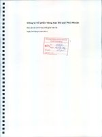 Báo cáo tài chính hợp nhất quý 2 năm 2014 (đã soát xét) - Công ty Cổ phần Vàng bạc Đá quý Phú Nhuận