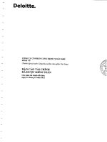 Báo cáo tài chính năm 2012 (đã kiểm toán) - Công ty Cổ phần Cảng dịch vụ Dầu khí Đình Vũ