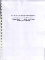 Báo cáo tài chính công ty mẹ năm 2014 (đã kiểm toán) - Tổng công ty Pisico Bình Định - CTCP