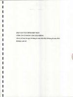 Báo cáo tài chính hợp nhất quý 2 năm 2015 (đã soát xét) - Công ty cổ phần Cảng Hải Phòng