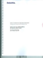 Báo cáo tài chính công ty mẹ năm 2015 (đã kiểm toán) - Công ty Cổ phần Xuất nhập khẩu Petrolimex