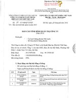 Báo cáo tình hình quản trị công ty - Công ty Cổ phần Dịch vụ Kỹ thuật Điện lực Dầu khí Việt Nam