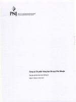 Báo cáo tài chính hợp nhất quý 4 năm 2015 - Công ty Cổ phần Vàng bạc Đá quý Phú Nhuận