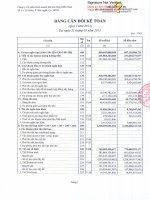 Báo cáo tài chính công ty mẹ quý 1 năm 2013 - Công ty Cổ phần Kinh doanh Khí hóa lỏng Miền Nam