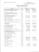 Báo cáo tài chính quý 1 năm 2009 - CTCP Đầu tư Điện lực 3