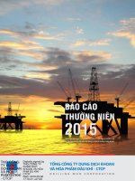 Báo cáo thường niên năm 2015 - Tổng Công ty Dung dịch khoan và Hóa phẩm Dầu khí-CTCP