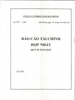 Báo cáo tài chính hợp nhất quý 2 năm 2015 - Công ty cổ phần Cảng Hải Phòng