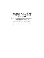 Báo cáo tài chính năm 2008 (đã kiểm toán) - CTCP Thiết kế - Xây dựng - Thương mại Phúc Thịnh