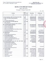 Báo cáo tài chính quý 1 năm 2010 - Công ty Cổ phần Kinh doanh Khí hóa lỏng Miền Nam