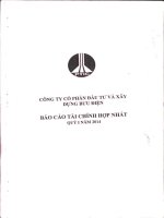 Báo cáo tài chính hợp nhất quý 1 năm 2014 - Công ty Cổ phần Đầu tư và Xây dựng Bưu điện