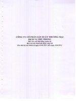 Báo cáo tài chính hợp nhất quý 2 năm 2011 - Công ty Cổ phần Sản xuất Thương mại Dịch vụ Phú Phong