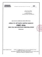 Báo cáo tài chính năm 2011 (đã kiểm toán) - Công ty Cổ phần Chứng khoán PHÚ GIA