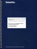 Báo cáo tài chính hợp nhất năm 2010 (đã kiểm toán) - Tổng Công ty Dung dịch khoan và Hóa phẩm Dầu khí-CTCP