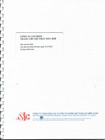 Báo cáo tài chính năm 2011 (đã kiểm toán) - Công ty Cổ phần Trang trí Nội thất Dầu khí