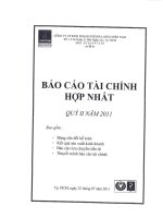 Báo cáo tài chính hợp nhất quý 2 năm 2011 - Công ty Cổ phần Kinh doanh Khí hóa lỏng Miền Nam