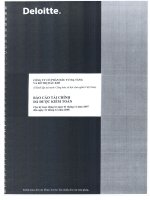 Báo cáo tài chính năm 2008 (đã kiểm toán) - Công ty Cổ phần Đầu tư Hạ tầng và Đô thị Dầu khí PVC