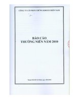 Báo cáo thường niên năm 2010 - Công ty cổ phần chứng khoán Phương Nam