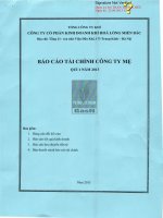 Báo cáo tài chính công ty mẹ quý 1 năm 2013 - Công ty Cổ phần Kinh doanh Khí hóa lỏng Miền Bắc