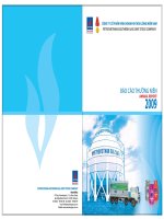 Báo cáo thường niên năm 2009 - Công ty Cổ phần Kinh doanh Khí hóa lỏng Miền Nam