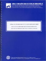 Báo cáo tài chính hợp nhất năm 2012 (đã kiểm toán) - Công ty Cổ phần Đầu tư và Xây dựng Bưu điện