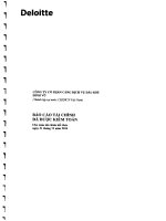 Báo cáo tài chính năm 2014 (đã kiểm toán) - Công ty Cổ phần Cảng dịch vụ Dầu khí Đình Vũ