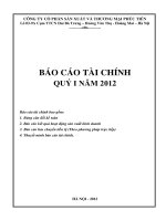 Báo cáo tài chính công ty mẹ quý 1 năm 2012 - Công ty Cổ phần Sản xuất và Thương mại Phúc Tiến