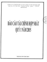 Báo cáo tài chính hợp nhất quý 1 năm 2015 - Công ty Cổ phần Đầu tư Hạ tầng và Đô thị Dầu khí PVC