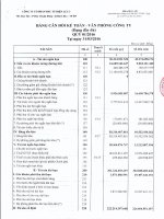 Báo cáo tài chính quý 1 năm 2016 - CTCP Đầu tư Điện lực 3
