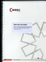 Báo cáo tài chính năm 2013 (đã kiểm toán) - Công ty Cổ phần Trang trí Nội thất Dầu khí