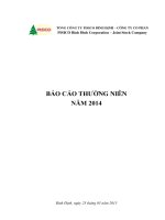 Báo cáo thường niên năm 2014 - Tổng công ty Pisico Bình Định - CTCP