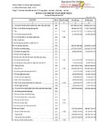 Báo cáo tài chính hợp nhất quý 2 năm 2012 - Tổng Công ty Dung dịch khoan và Hóa phẩm Dầu khí-CTCP
