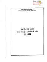 Báo cáo tài chính quý 2 năm 2013 - Công ty Cổ phần Dịch vụ Kỹ thuật Điện lực Dầu khí Việt Nam