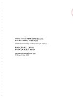 Báo cáo tài chính công ty mẹ năm 2010 (đã kiểm toán) - Công ty Cổ phần Kinh doanh Khí hóa lỏng Miền Nam