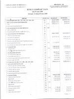 Báo cáo tài chính quý 1 năm 2008 - CTCP Đầu tư Điện lực 3