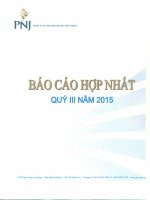 Báo cáo tài chính hợp nhất quý 3 năm 2015 - Công ty Cổ phần Vàng bạc Đá quý Phú Nhuận