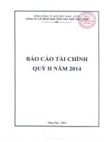Báo cáo tài chính quý 2 năm 2014 - Công ty cổ phần Bọc ống Dầu khí Việt Nam