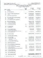 Báo cáo tài chính hợp nhất quý 1 năm 2010 - Công ty cổ phần Cao su Phước Hòa