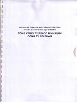 Báo cáo tài chính hợp nhất năm 2014 (đã kiểm toán) - Tổng công ty Pisico Bình Định - CTCP