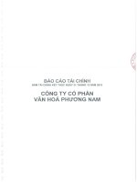 Báo cáo tài chính công ty mẹ năm 2015 (đã kiểm toán) - Công ty Cổ phần Văn hóa Phương Nam